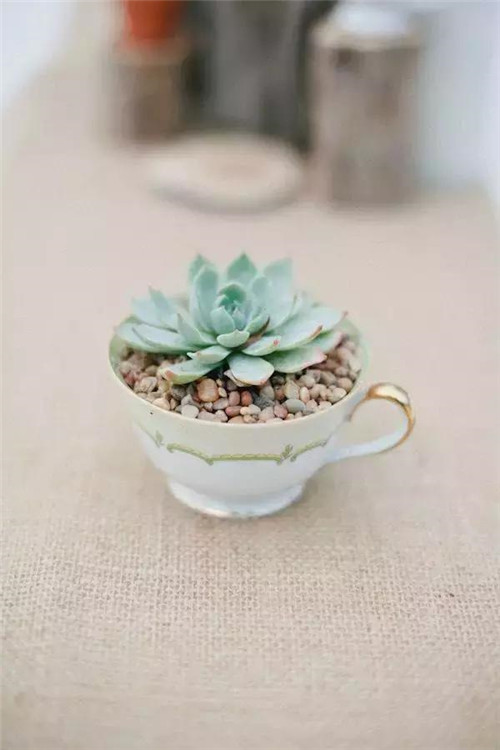 誰說養花插花一定得用花瓶？