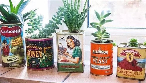 誰說養花插花一定得用花瓶？