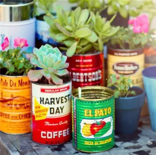 誰說養花插花一定得用花瓶？