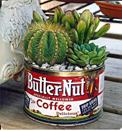 誰說養花插花一定得用花瓶？