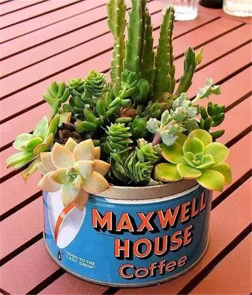 誰說養花插花一定得用花瓶？