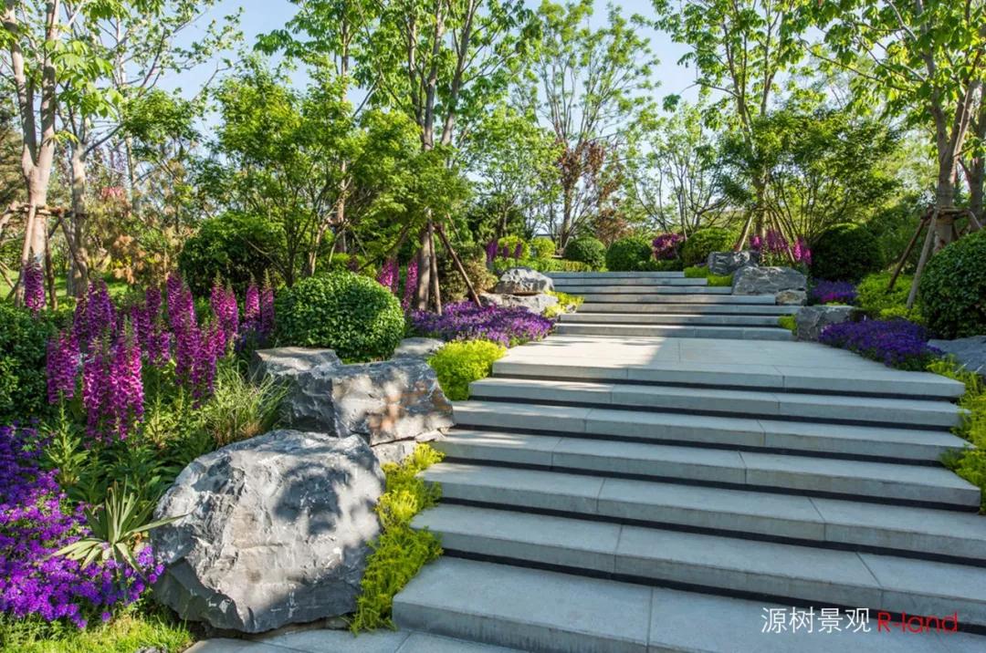 天成嶺秀 ：時尚奢雅，宛若天成的極致解讀