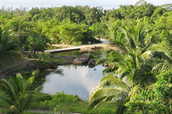 研究發現地球總質量植物最高，人類比重極低