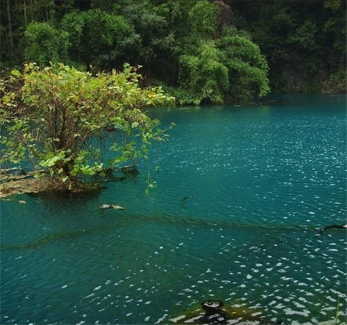 荔波樟江風(fēng)景名勝區(qū)——中國的超級盆景