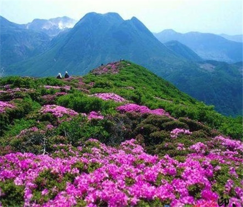 荔波樟江風(fēng)景名勝區(qū)——中國的超級盆景