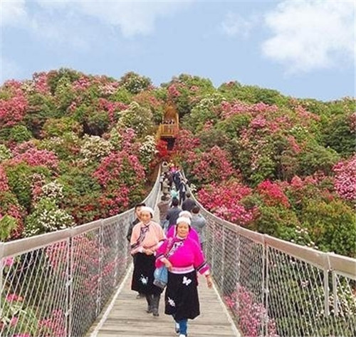 荔波樟江風(fēng)景名勝區(qū)——中國的超級盆景