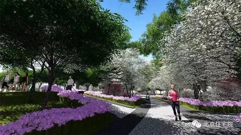 BRDR-筑作 | 一條綠色生態(tài)紐帶讓"千年古城"與"百里長(zhǎng)街"完美融合!