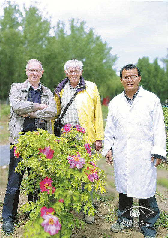 范保星 牡丹是一生的事業