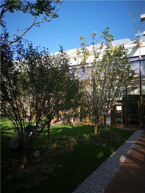 國內外花藝大師同臺獻藝 秦皇島舉辦國際插花藝術展