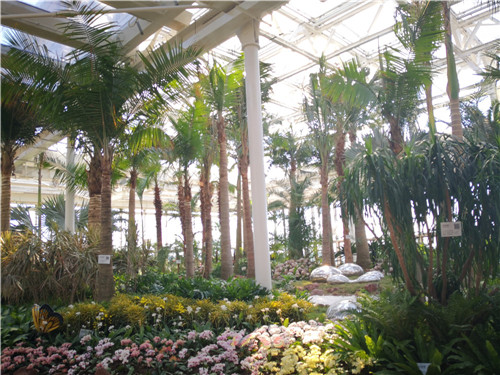 國內外花藝大師同臺獻藝 秦皇島舉辦國際插花藝術展