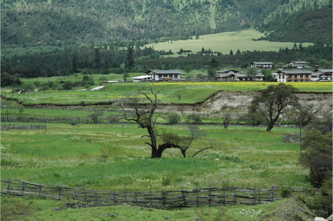 包滿珠：淺談城市建設(shè)與自然生態(tài)系統(tǒng)的關(guān)系