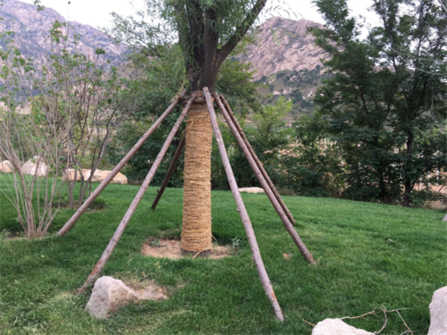 園冶杯專業獎:昌黎產業小鎮項目園林景觀