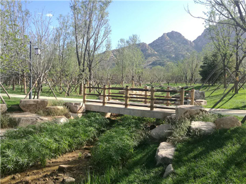 園冶杯專業獎:昌黎產業小鎮項目園林景觀