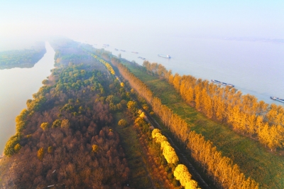 南京全力推動長江經濟帶高質量發(fā)展