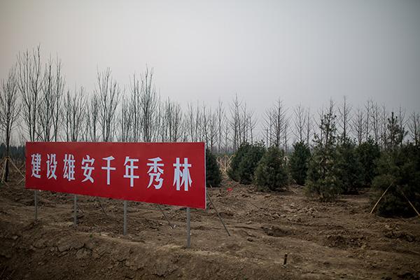 自然資源部調(diào)研組到雄安新區(qū)調(diào)研