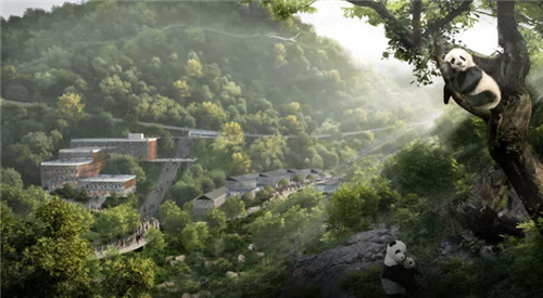 成都熊貓保護區制定總體規劃