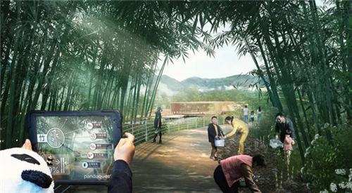 成都熊貓保護區制定總體規劃