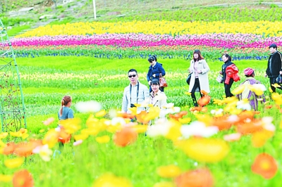 文旅融合:形在“融” 意在“合”