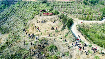 打造優(yōu)美宜居的潮人生態(tài)家園