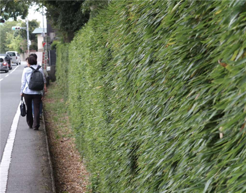 若山滋：中國與世界的空間思想