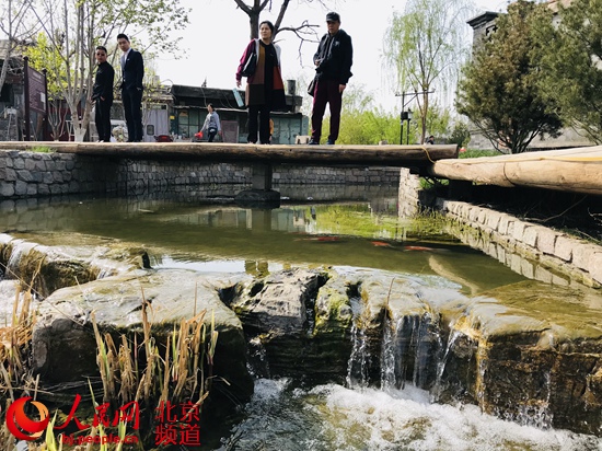 北京：街區更新　胡同里的“春天”藏不住