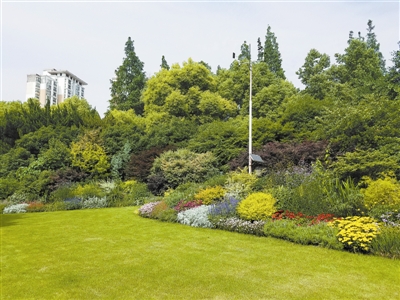 花境，園林景觀的“珍珠”