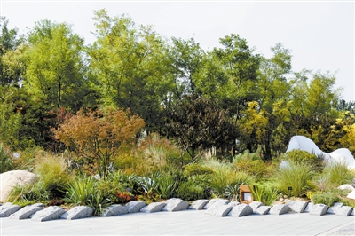 花境，園林景觀的“珍珠”