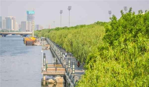 令人拍案叫絕的綠道景觀設計