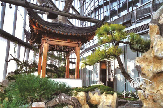 世界最高室內(nèi)中國(guó)園林 上海半畝園正式對(duì)公眾開(kāi)放