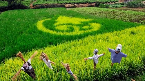 鄉建，留住鄉愁