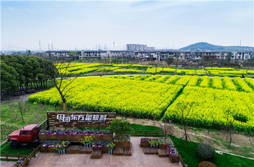 鄉建，留住鄉愁