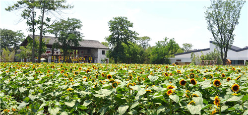 鄉建，留住鄉愁