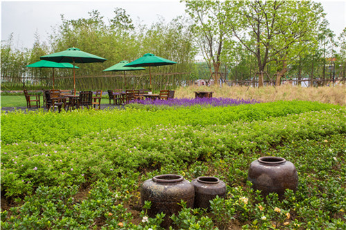 鄉建，留住鄉愁