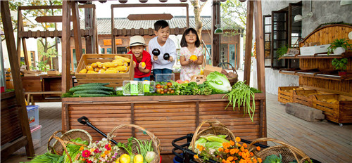 鄉建，留住鄉愁