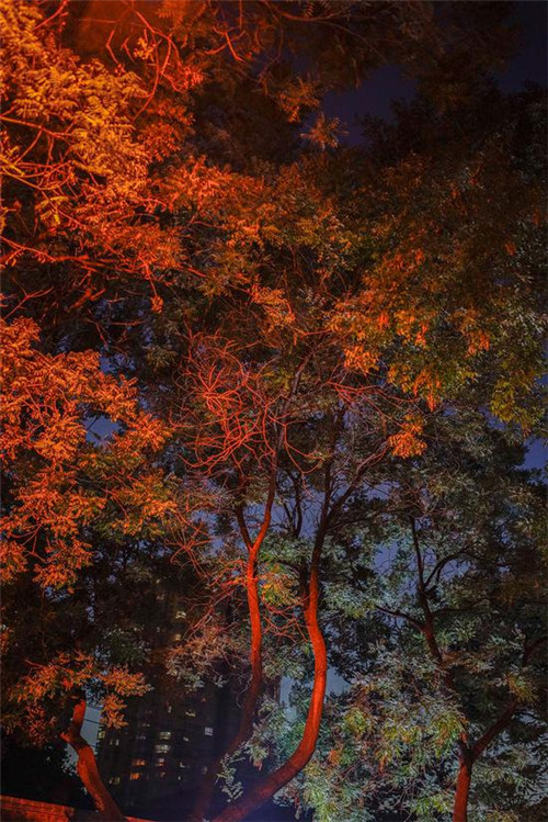 城市色彩規劃真的有人關心嗎？