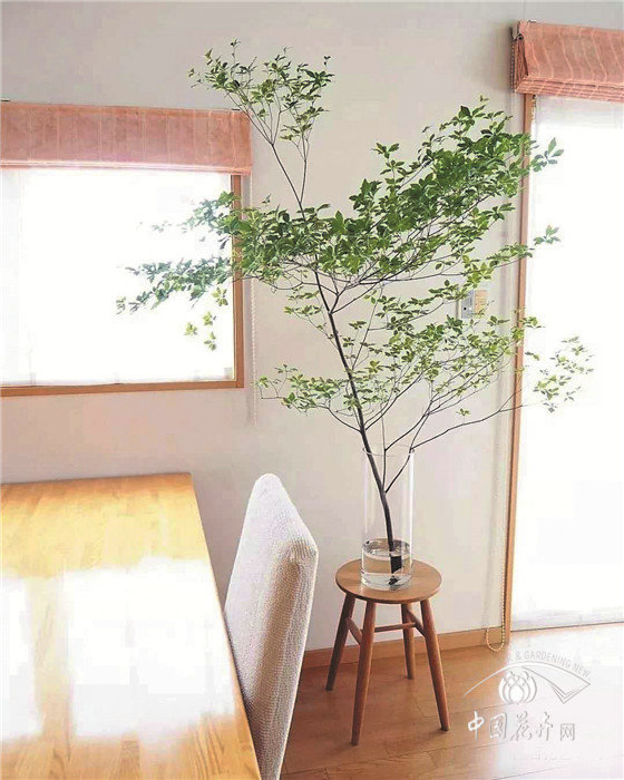 國內花市向著“淡季不淡”邁進