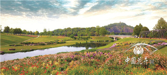 上海辰山植物園：植物界365天魔法師