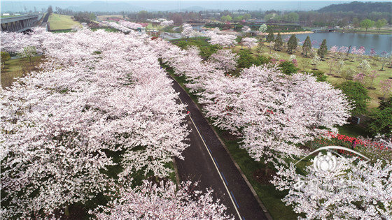 上海辰山植物園：植物界365天魔法師