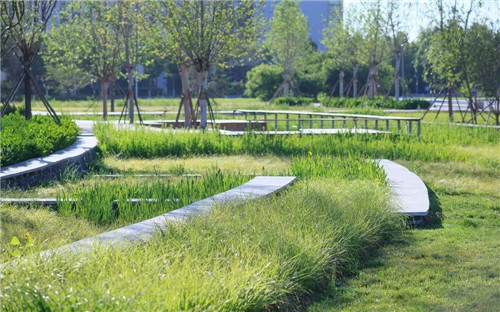 送雨水回家|遷安海綿城市建設成果