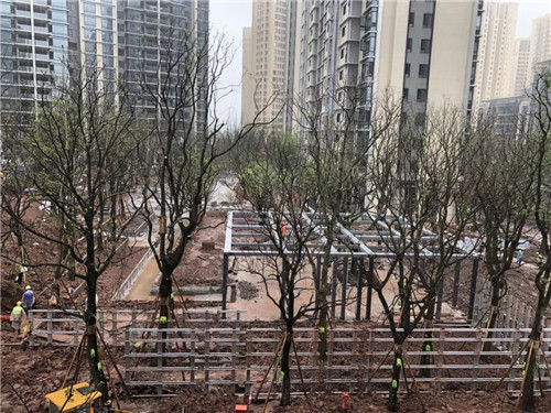 吉盛園林 把森林歸還龍湖?塵林間