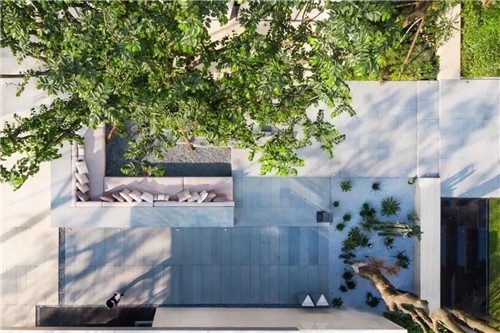 吉盛園林 把森林歸還龍湖?塵林間