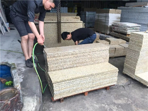 吉盛園林 把森林歸還龍湖?塵林間