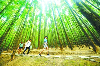 生態之美裝扮美麗中國