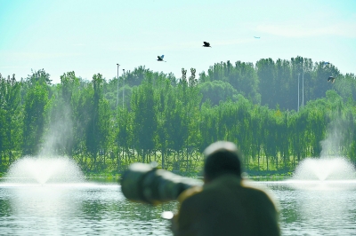 北京:太陽能助力“海綿城市”