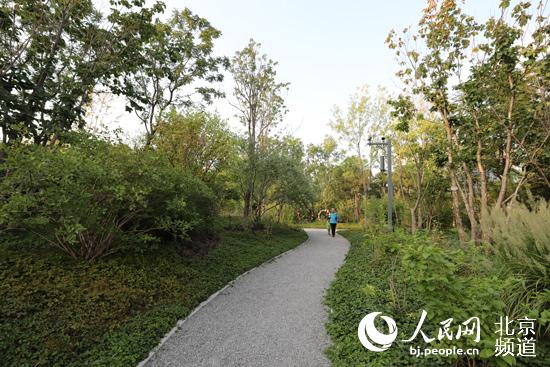 從“綠起來”到“活起來” 北京讓綠色成為城市底色 