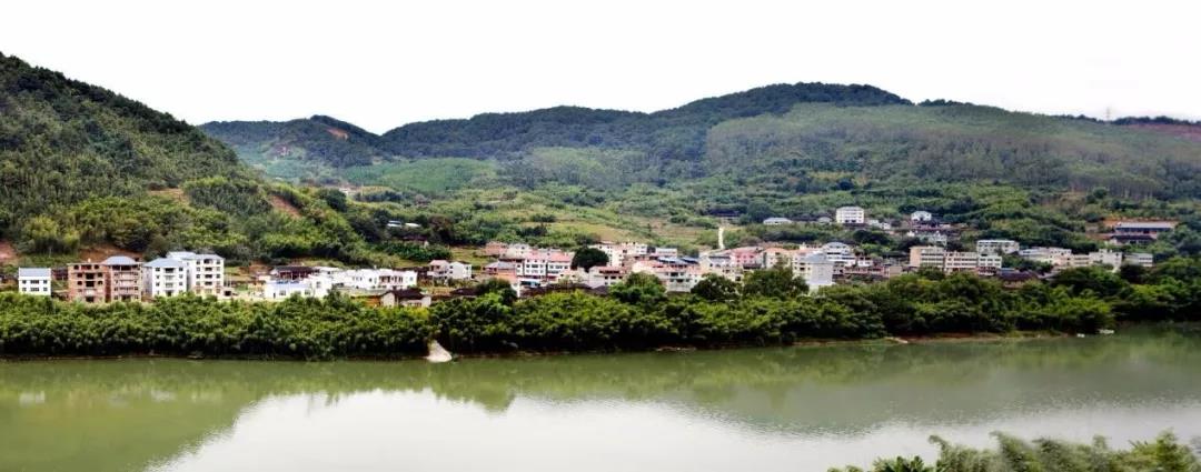 2019園冶杯專業(yè)獎丨半山村美麗鄉(xiāng)村規(guī)劃