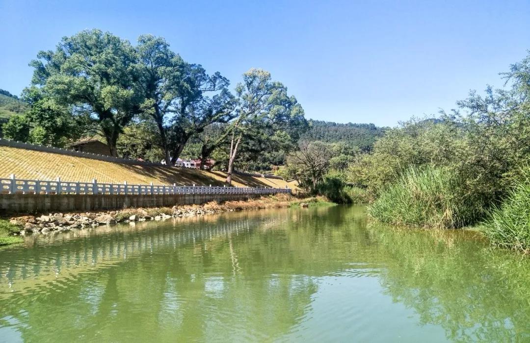 2019園冶杯專業(yè)獎丨半山村美麗鄉(xiāng)村規(guī)劃