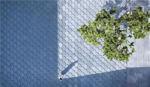 一只魚的自我意識 | 鎮(zhèn)江中南聆江閣