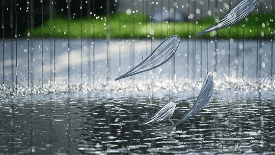 一只魚的自我意識 | 鎮(zhèn)江中南聆江閣