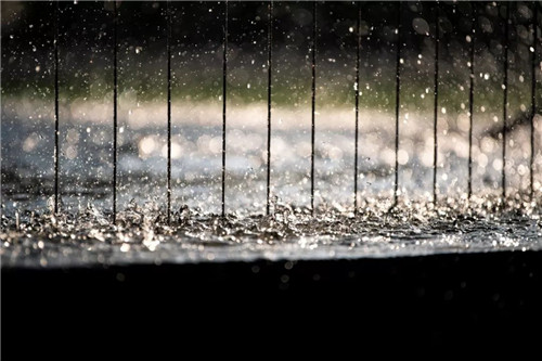 一只魚的自我意識 | 鎮(zhèn)江中南聆江閣